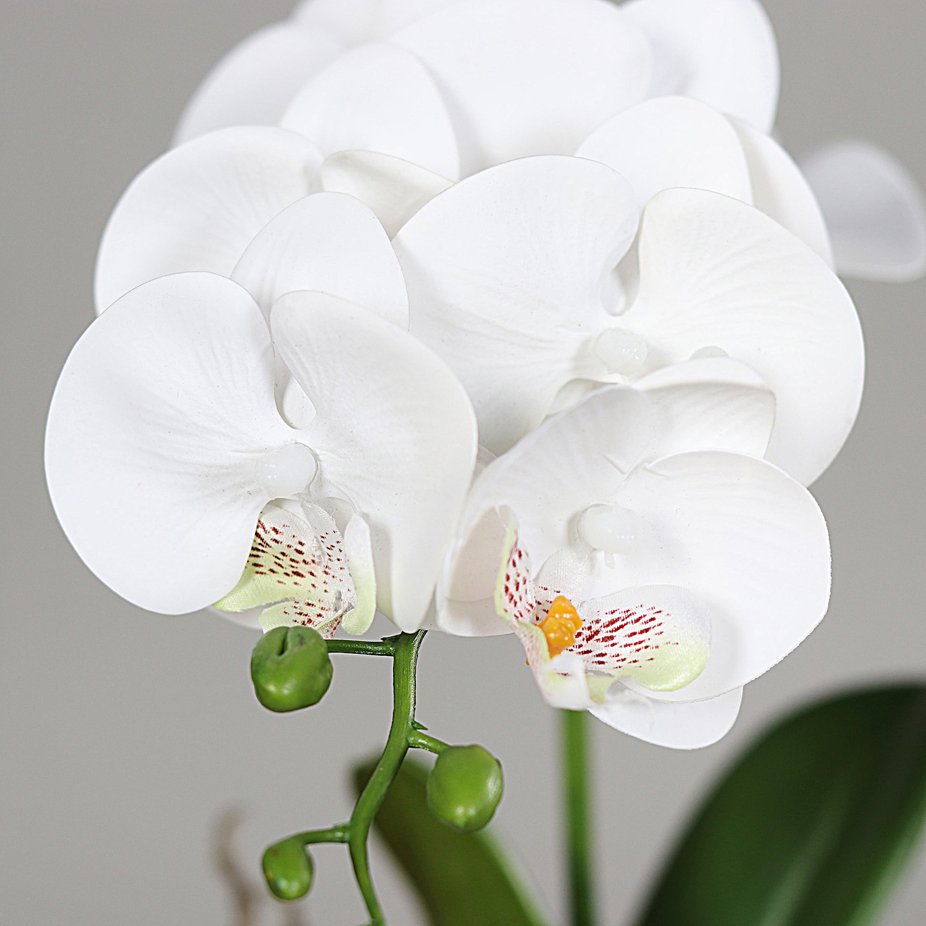 Orchidee im Topf - creme - Kunstpflanze