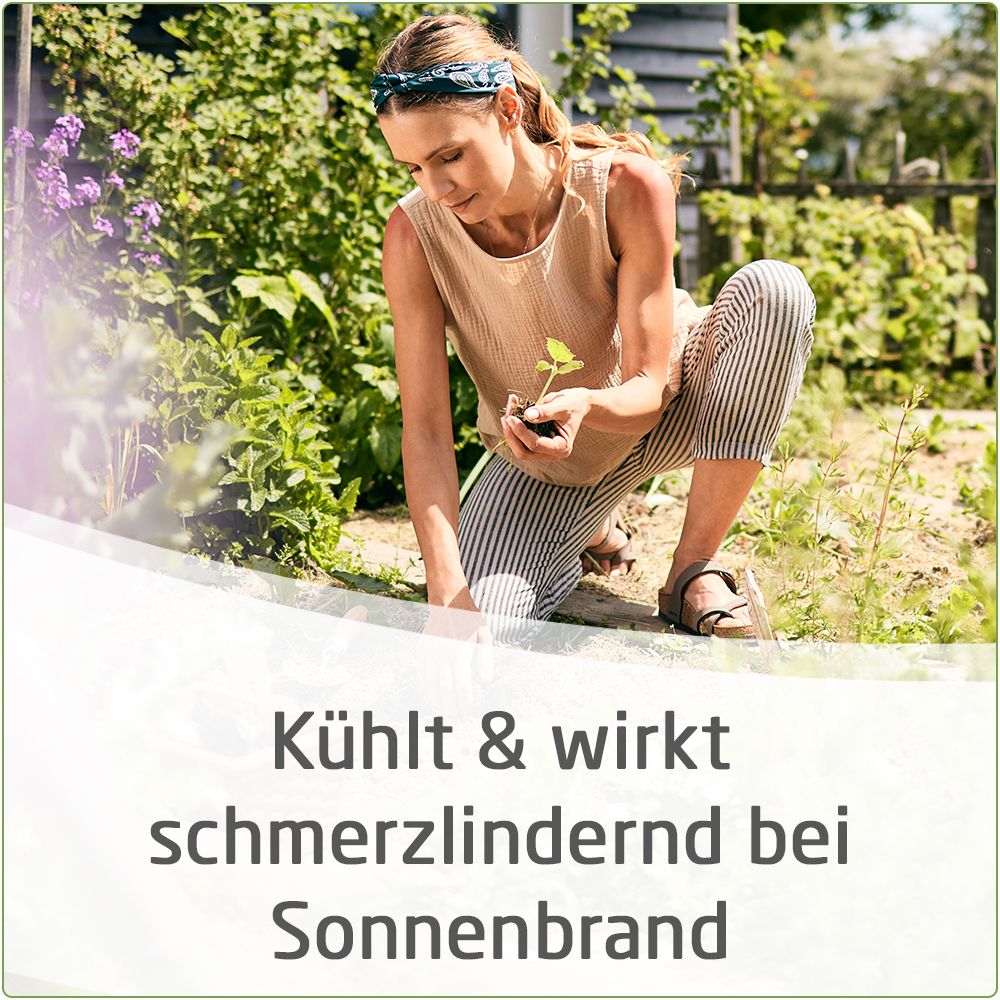 Combudoron® Gel kühlt & lindert Schmerzen bei Insektenstichen, Sonnenbrand & leichten Verbrennungen