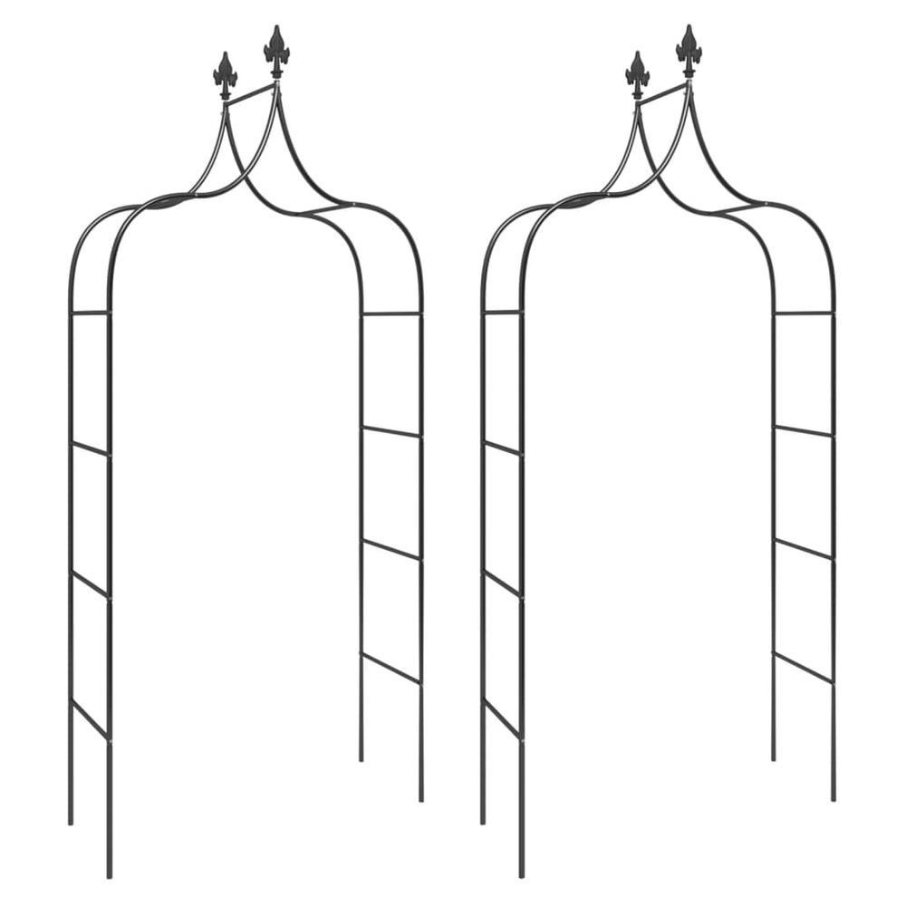 Arches de jardin 2 pcs noir 120x38x260 cm acier