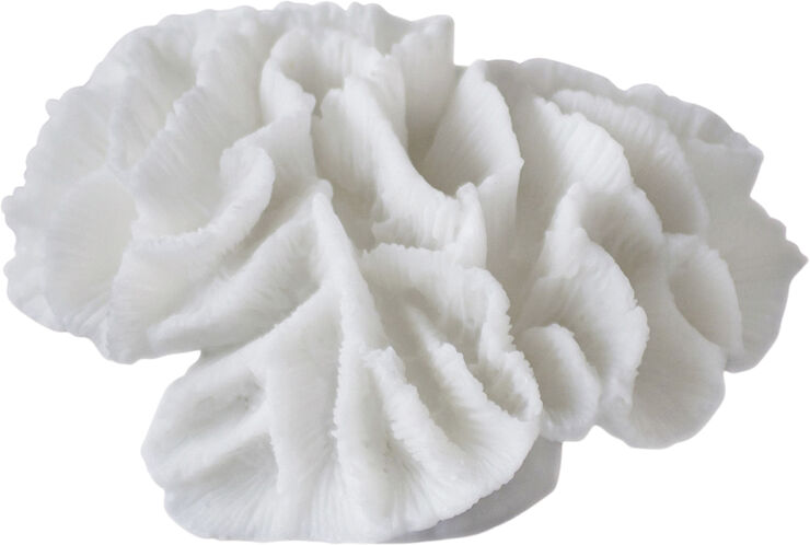 Mette Ditmer Coral, gills Hvid