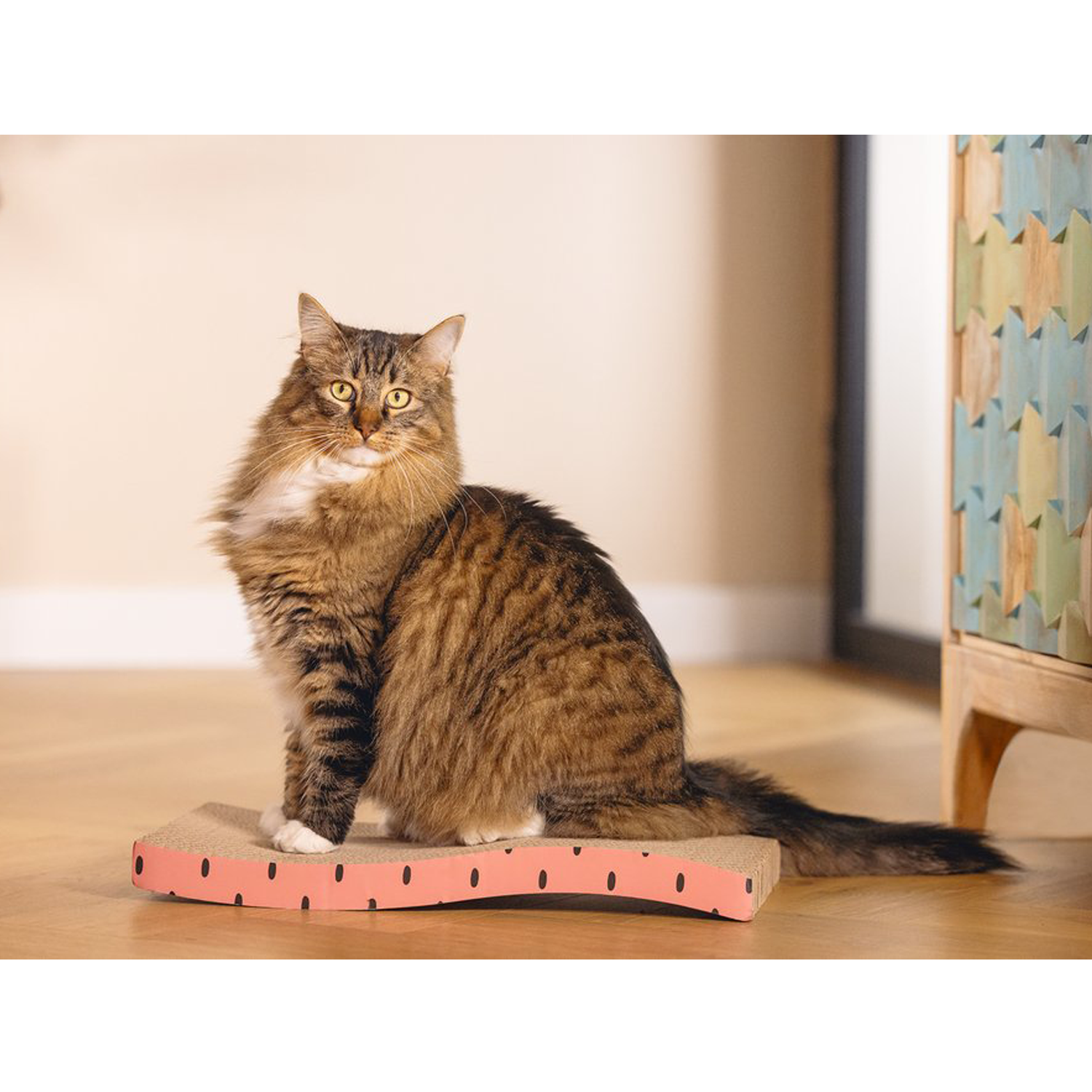 Beeztees Krabplank Dots