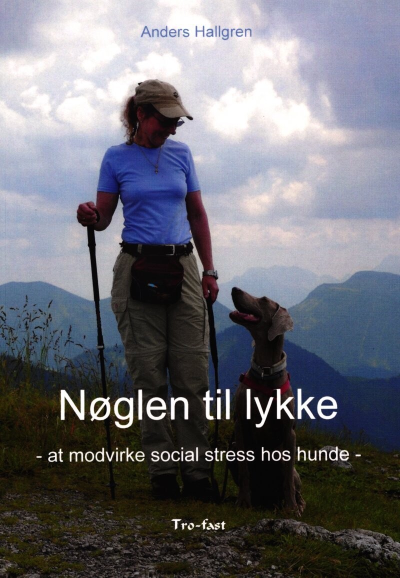 Nøglen Til Lykke - Anders Hallgren - Bog