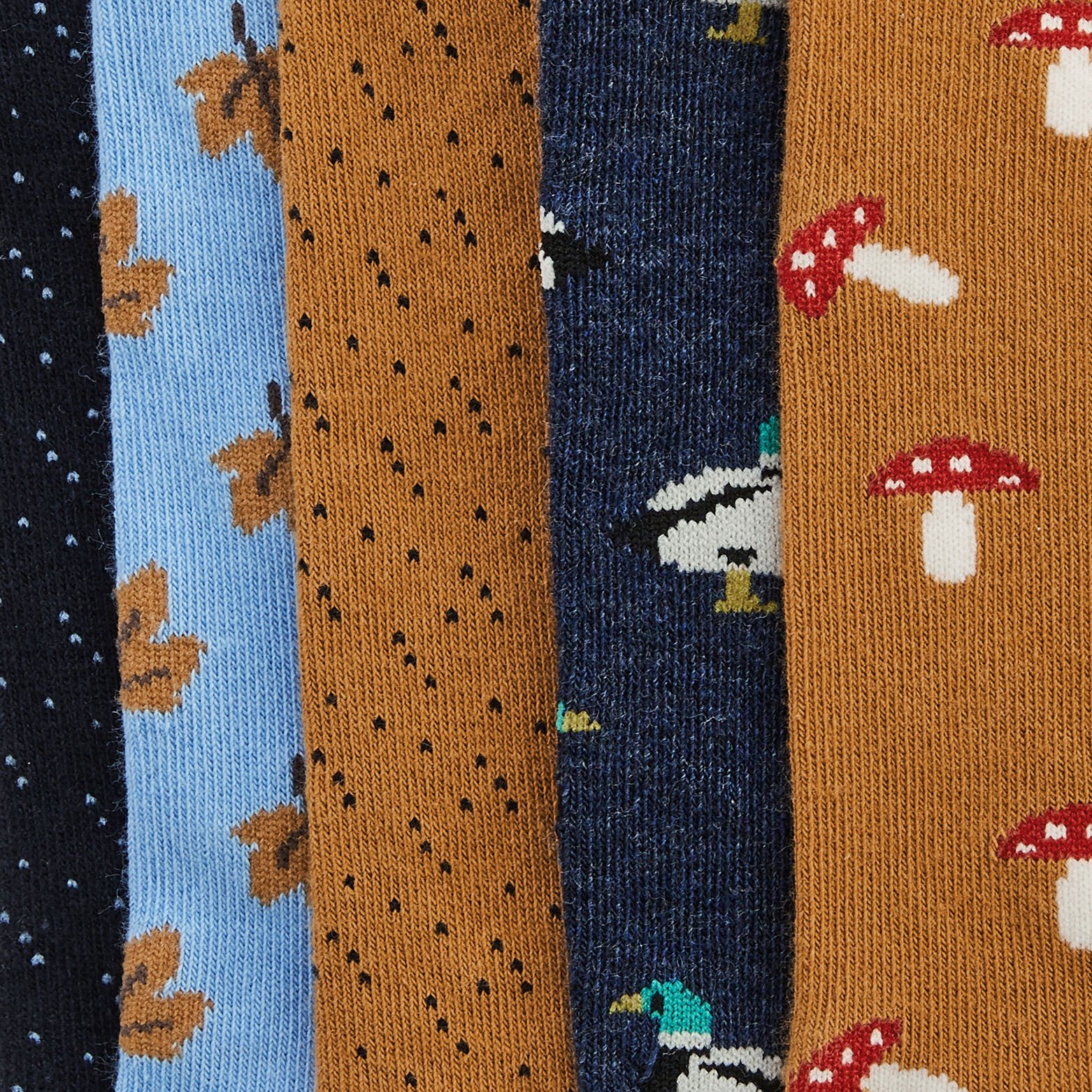 Lot de 5 paires de chaussettes fantaisie coton iss Bleu foncé