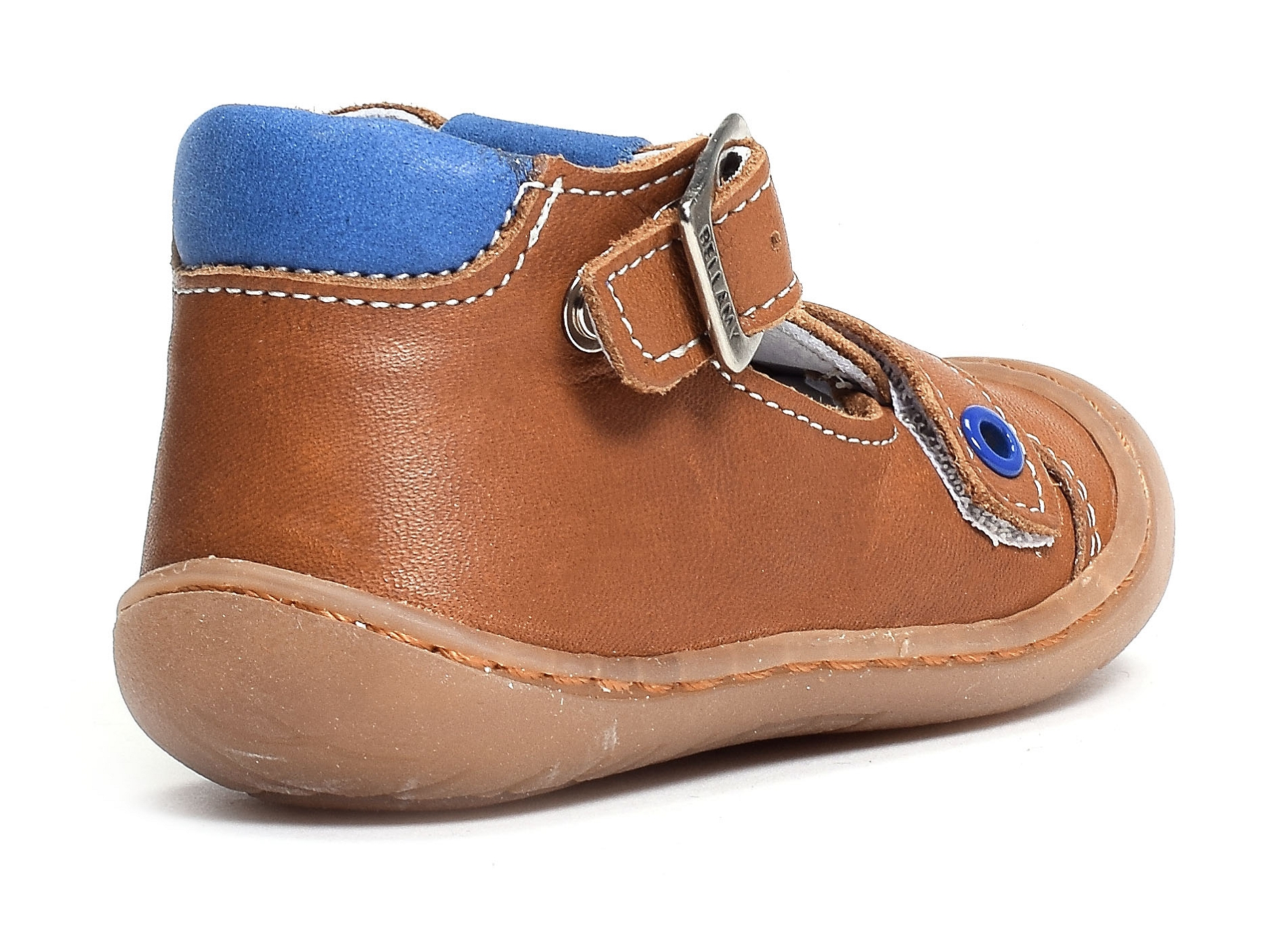 Elias camel