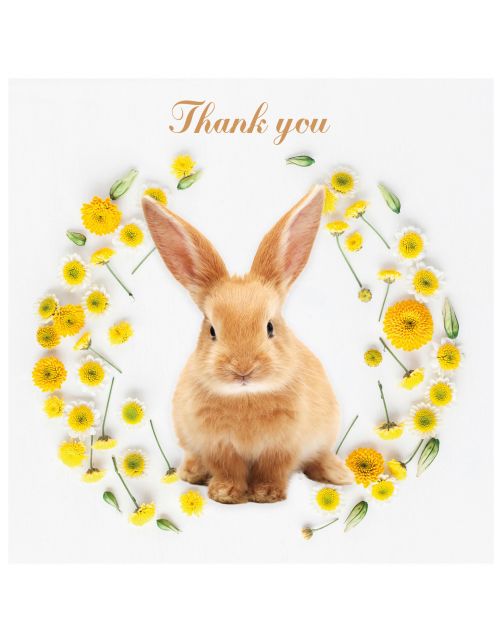 Plenty Gifts Kaart Thank You Rabbit - Cadeau - 13.7x13.7 cm