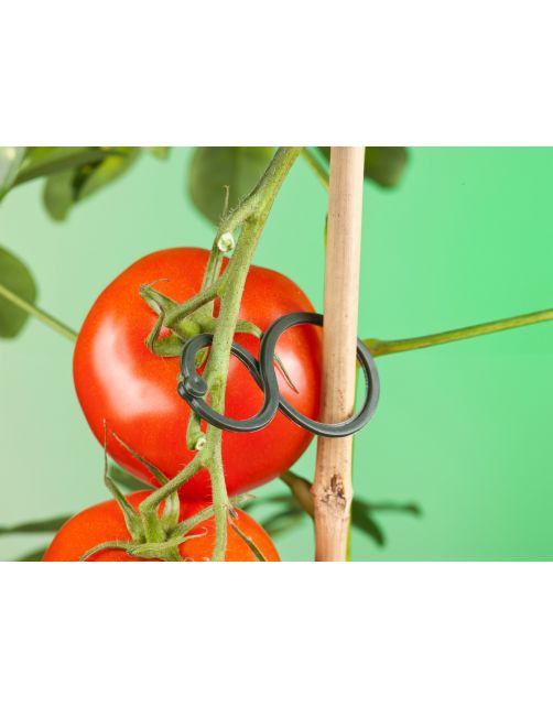 Nature Tomatenplantringen - Klim-En Geleide Artikel - 0.3x4.4x6.5 cm Donkergroen 25 stuks