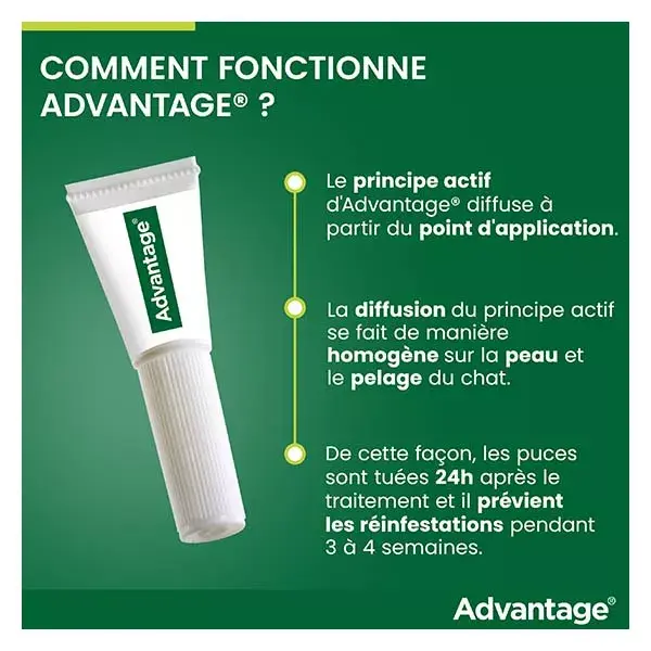 Advantage Solução Antipulgas para Gatos e Coelhos +4kg 6 pipetas