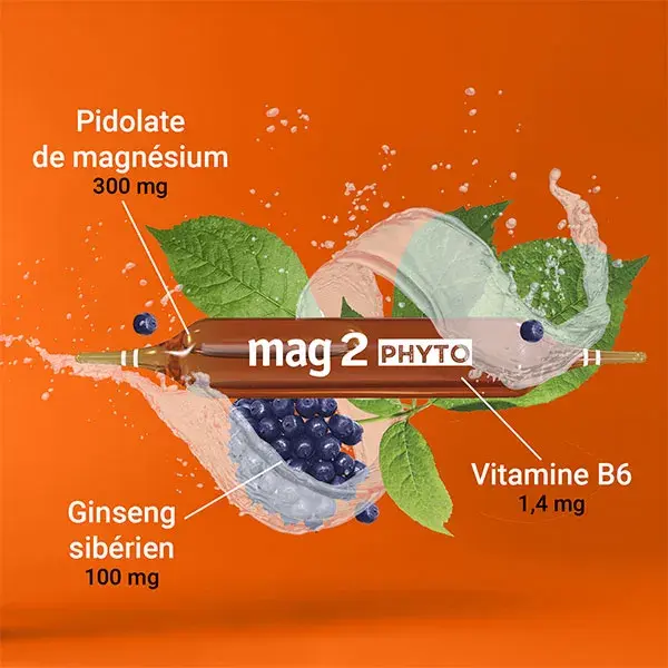 Suplemento Alimentar Mag2 Phyto Energy com Magnésio para Nervosismo e Fadiga - 30 Ampolas