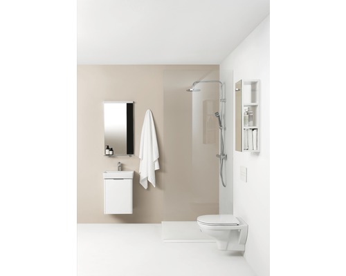 LAUFEN Wandcloset Pro, diepspoel, randloos, glanzend wit met toiletzitting H8669510000001