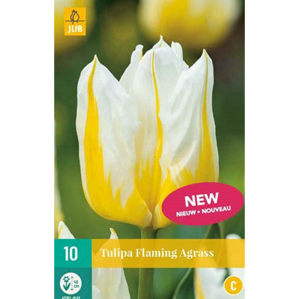 10 flaming agrass