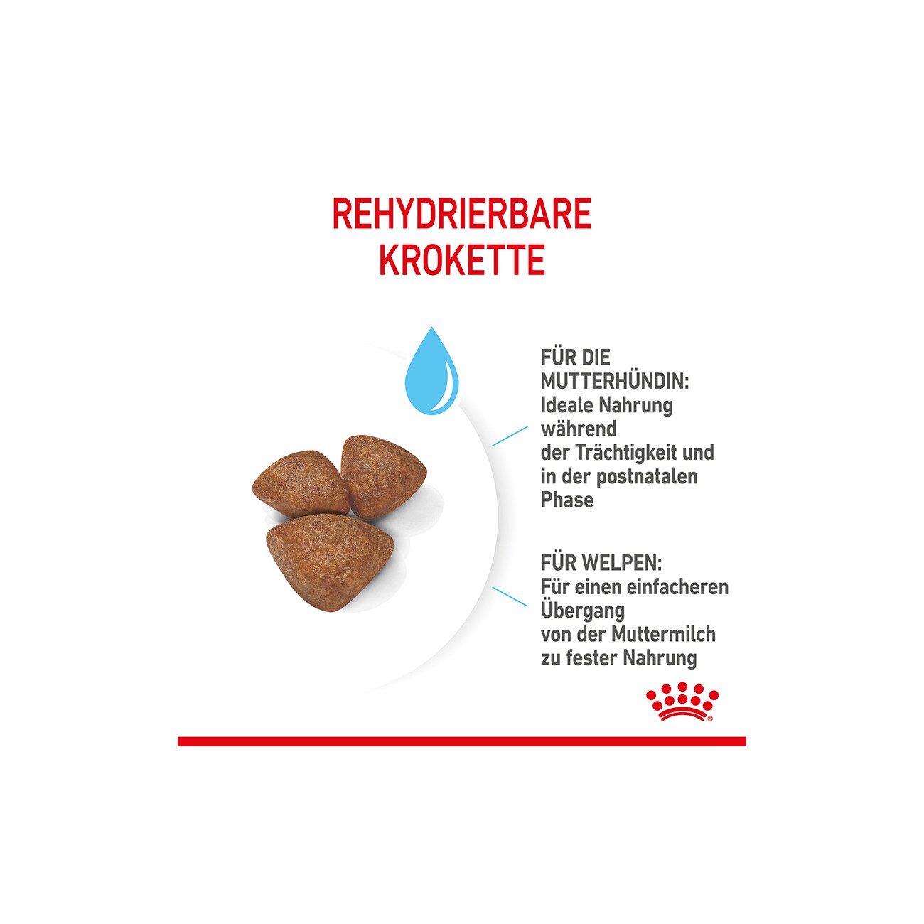ROYAL CANIN Mini Starter 4 kg