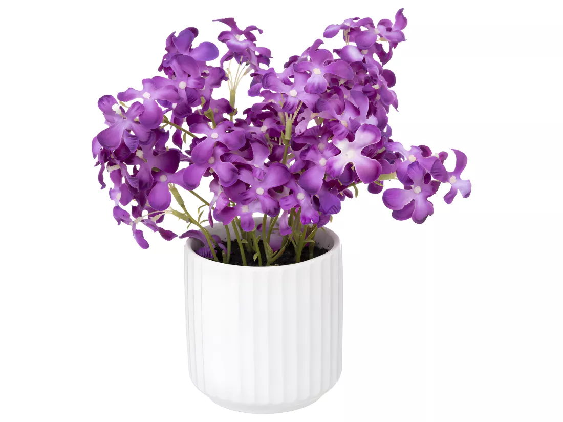 Plante artificielle Violette des bois Pot en céramique blanche H 27 cm