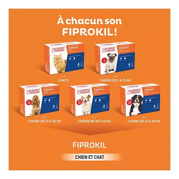 Clement Thekan Fiprokil Tratamento contra pulgas e carrapatos para gatos com 1 kg ou mais - 4 pipetas