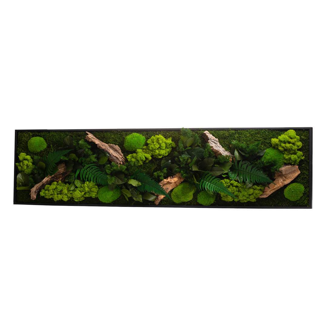 Stab canope panoramic l - noir 25x115