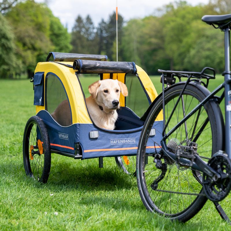 Remorque à vélo HAFENBANDE Cabby L avec 2 attelages