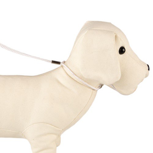 Coleira de exposição branca TK-Pet com guia para cães