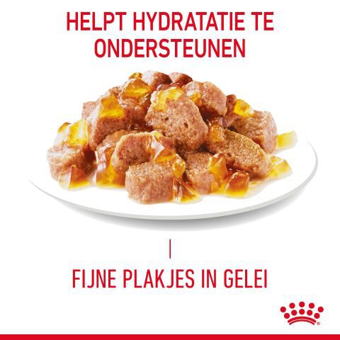 Royal Canin Hairball Care - Kattenvoer - 85 Gram