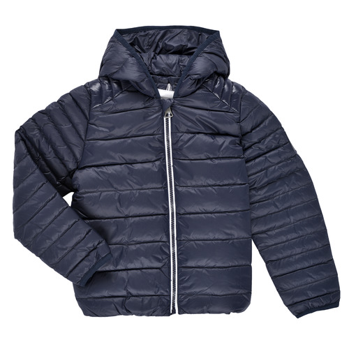 Aigle - ANITA - Marine