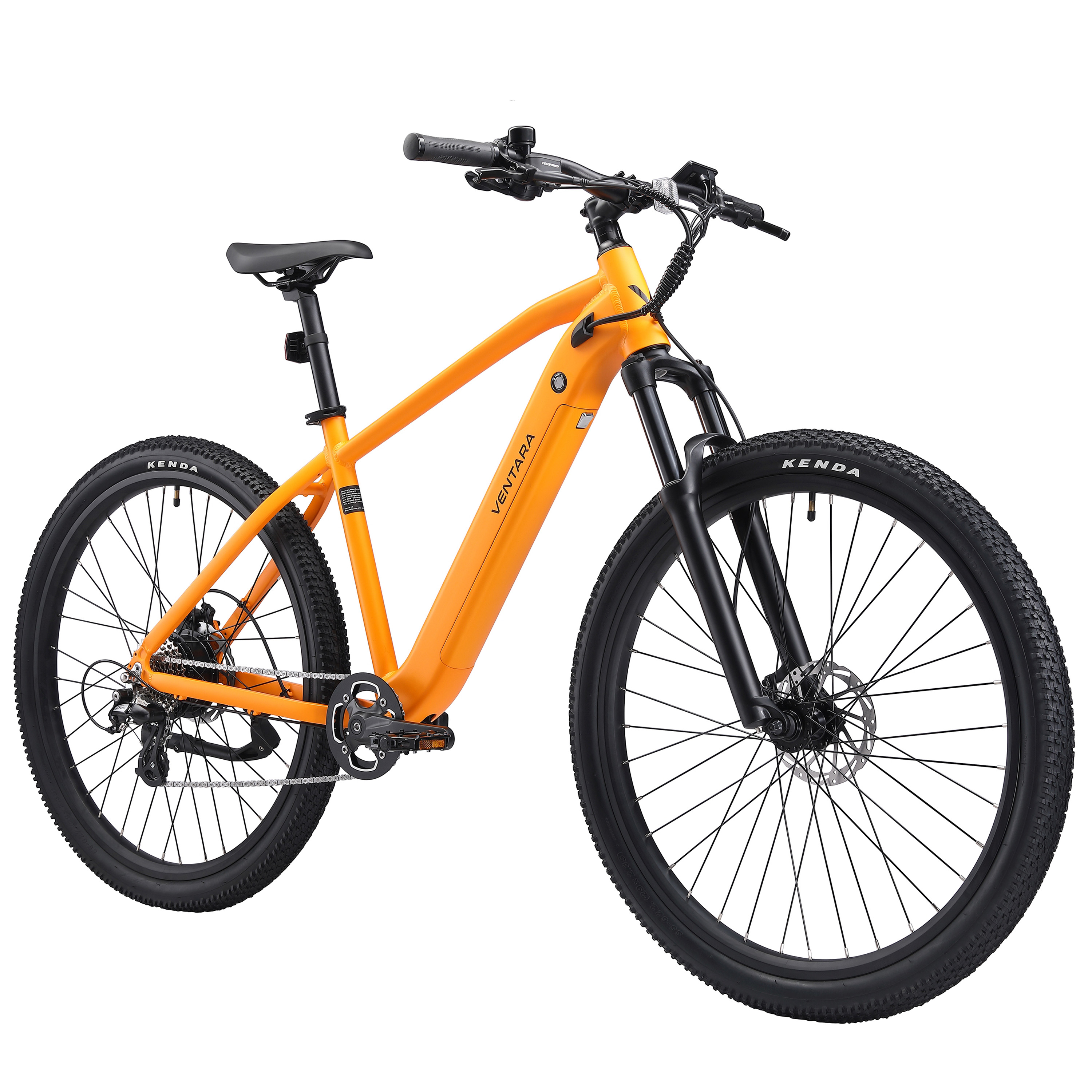 E-Bike Mountainbike 29