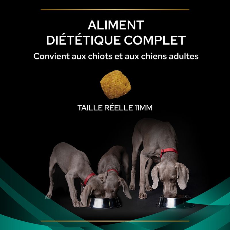 PURINA PRO PLAN Veterinary Diets EN Gastrointestinal à Prix Discount | bitiba.fr