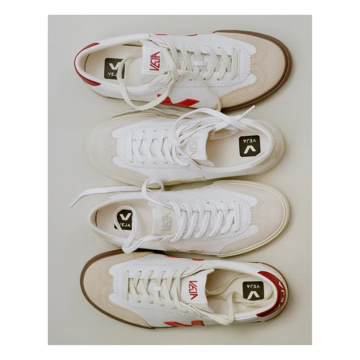 Veja Baskets Volley O.T | Bordeaux