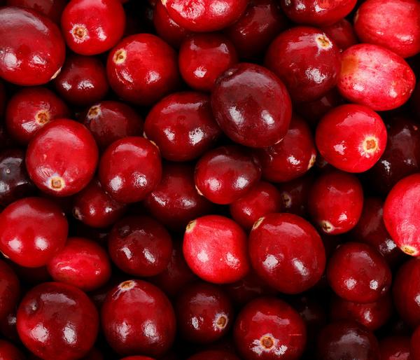 Cranberry 'Cranny'