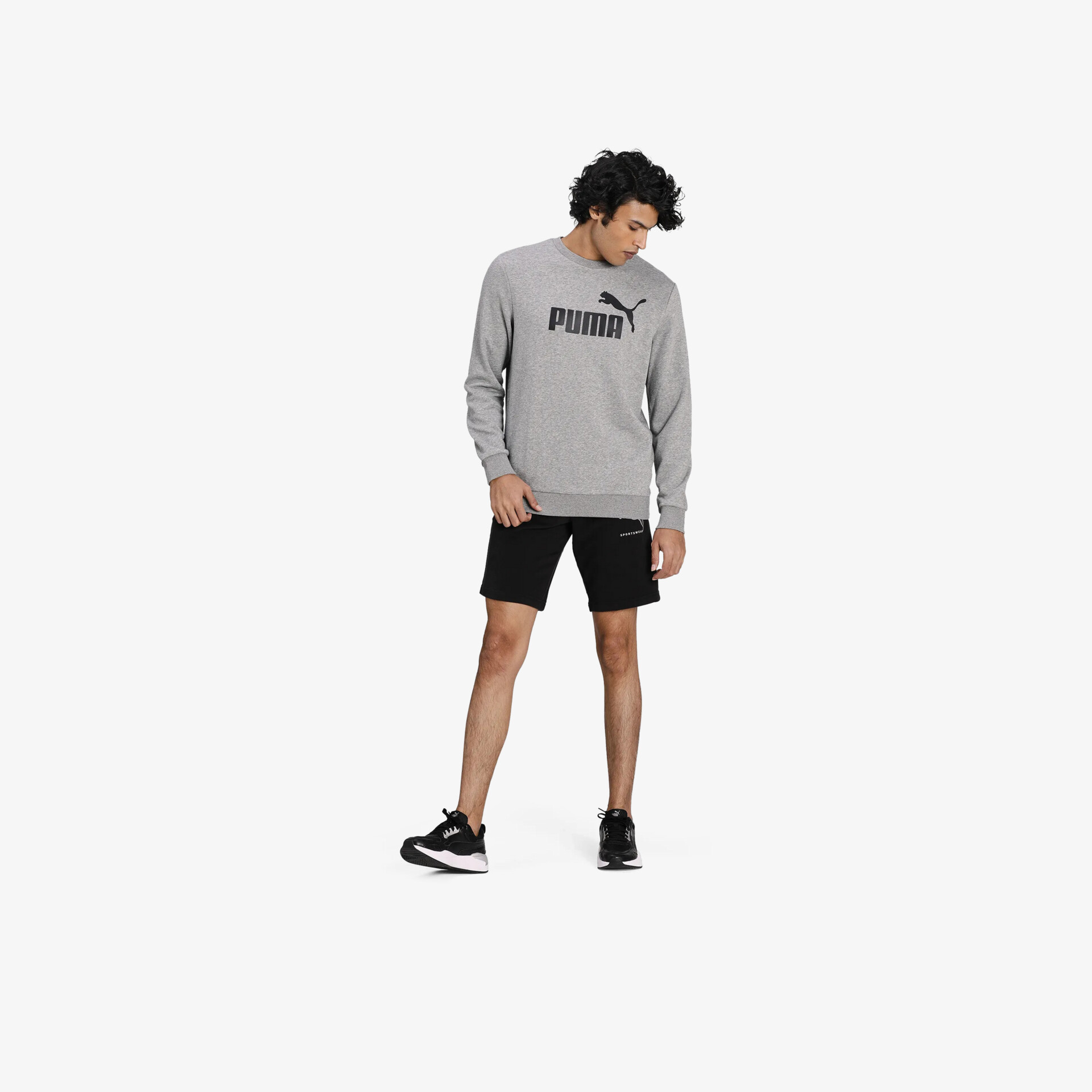 PUMA ESS Big Logo Crew TR Herren Hoodies & Sweater grau