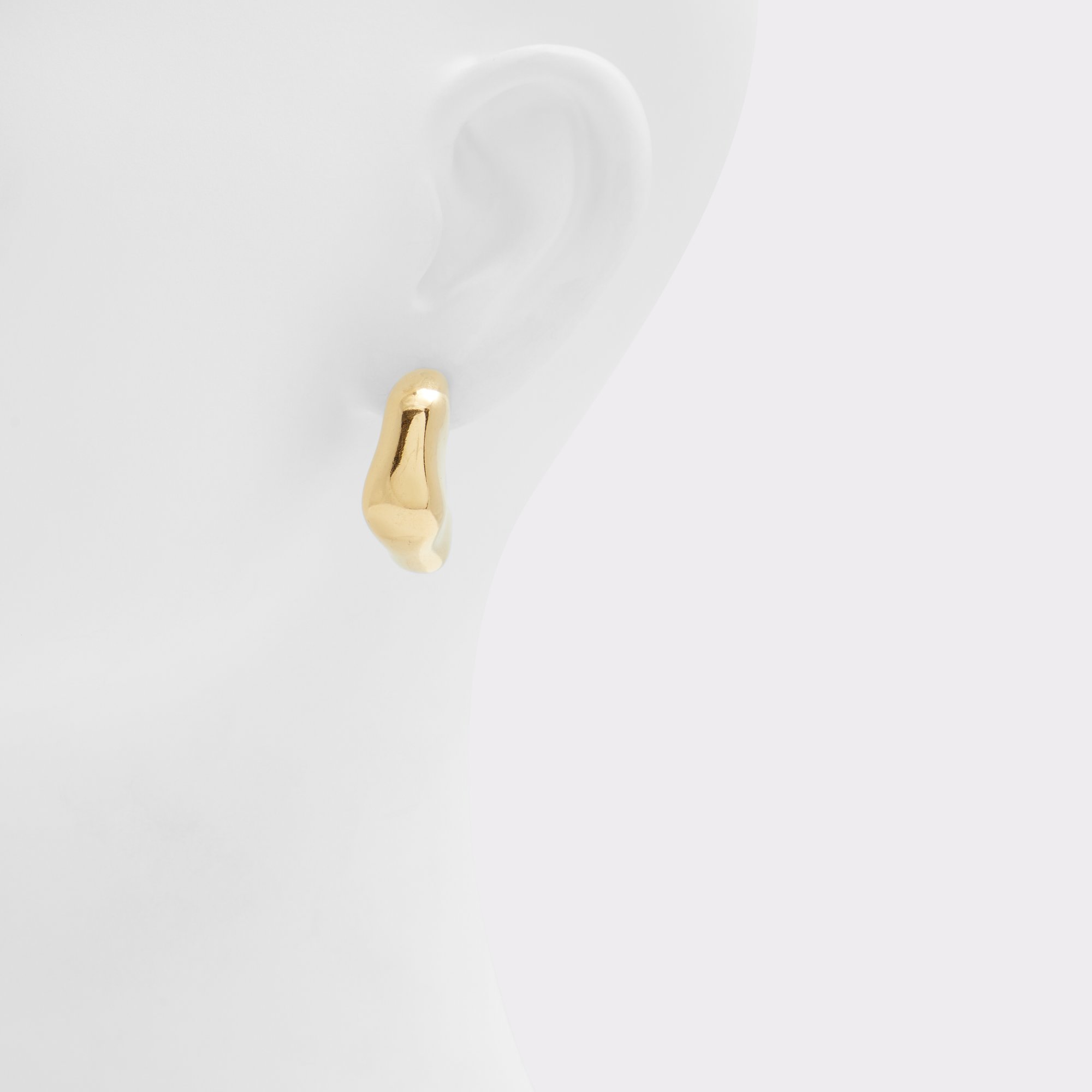 Roben Gold Women Earrings