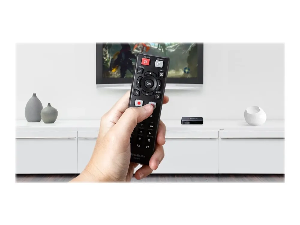 AVerMedia Video Capture Box, EzRecorder (ER330)