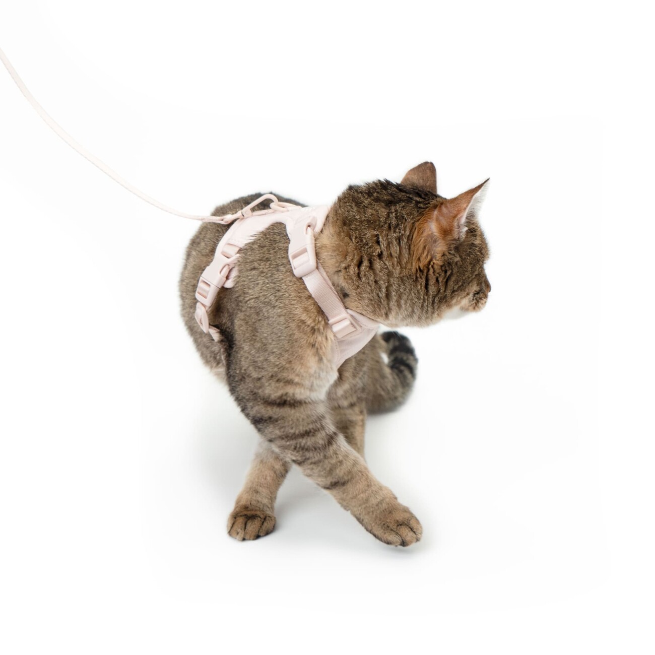 LucyBalu EXPLORER Katzengeschirr - Hello Kitty Edition M/L
