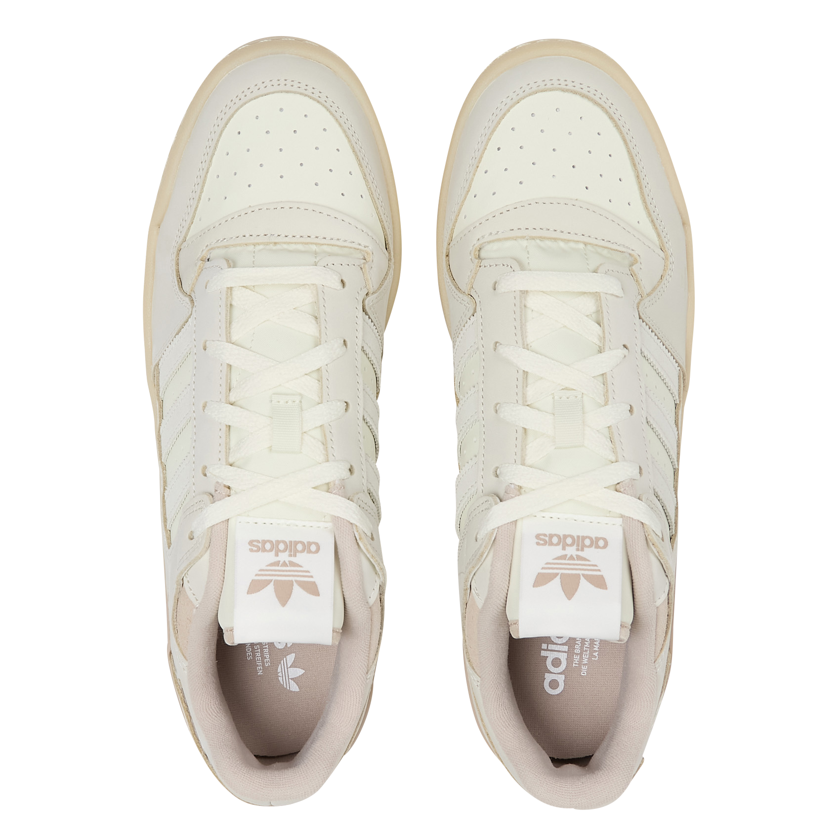 FORUM LOW CL - Baskets basses | Beige