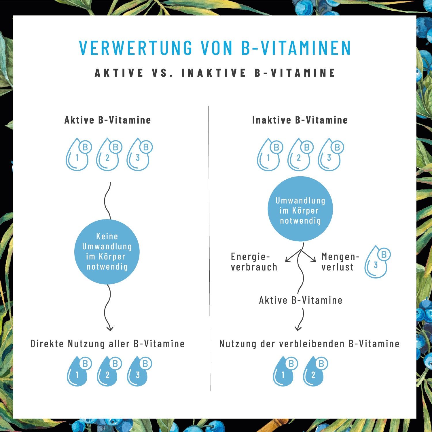 Vitamin B-Komplex (B1-B12) mit 3 Kofaktoren aktiv hochdosiert - Nervenstark -NATURTREU®