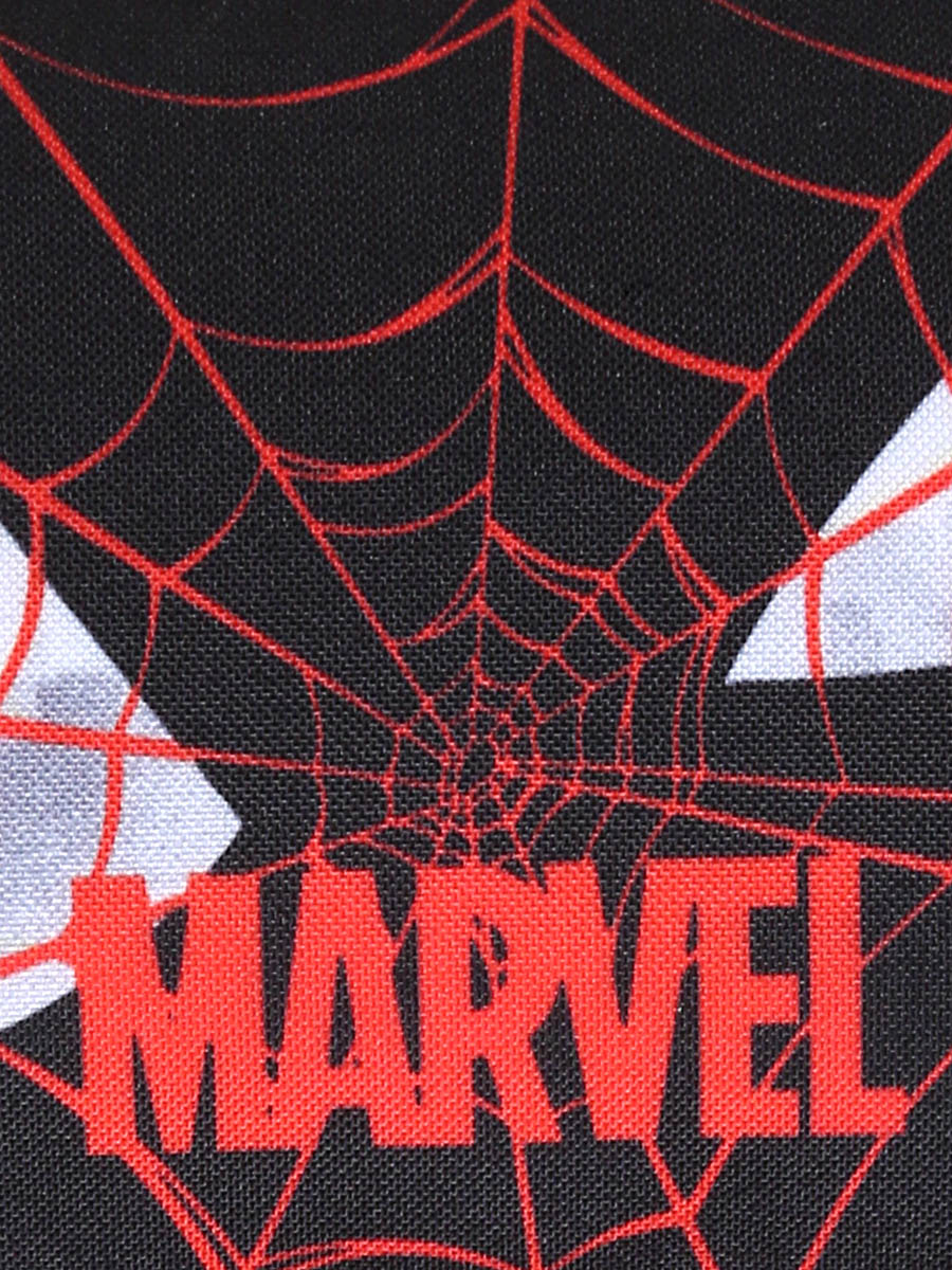 Trousse Spider-Man Miles - 2 compartiments