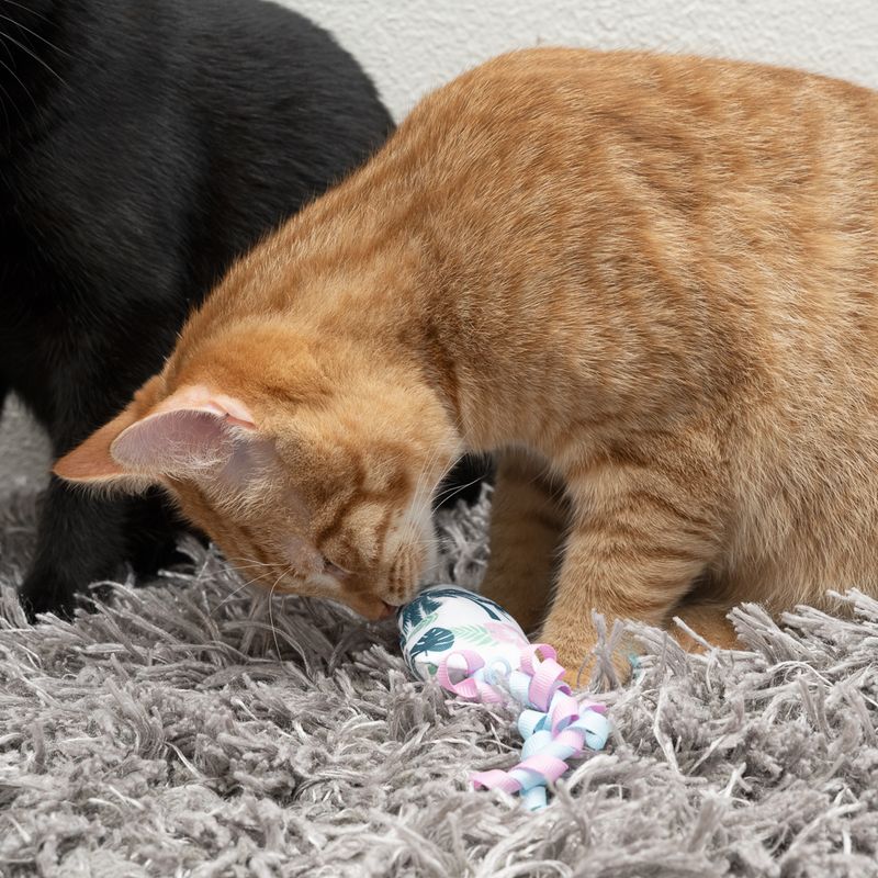 Jouet TIAKI Planche de surf avec menthe à chat