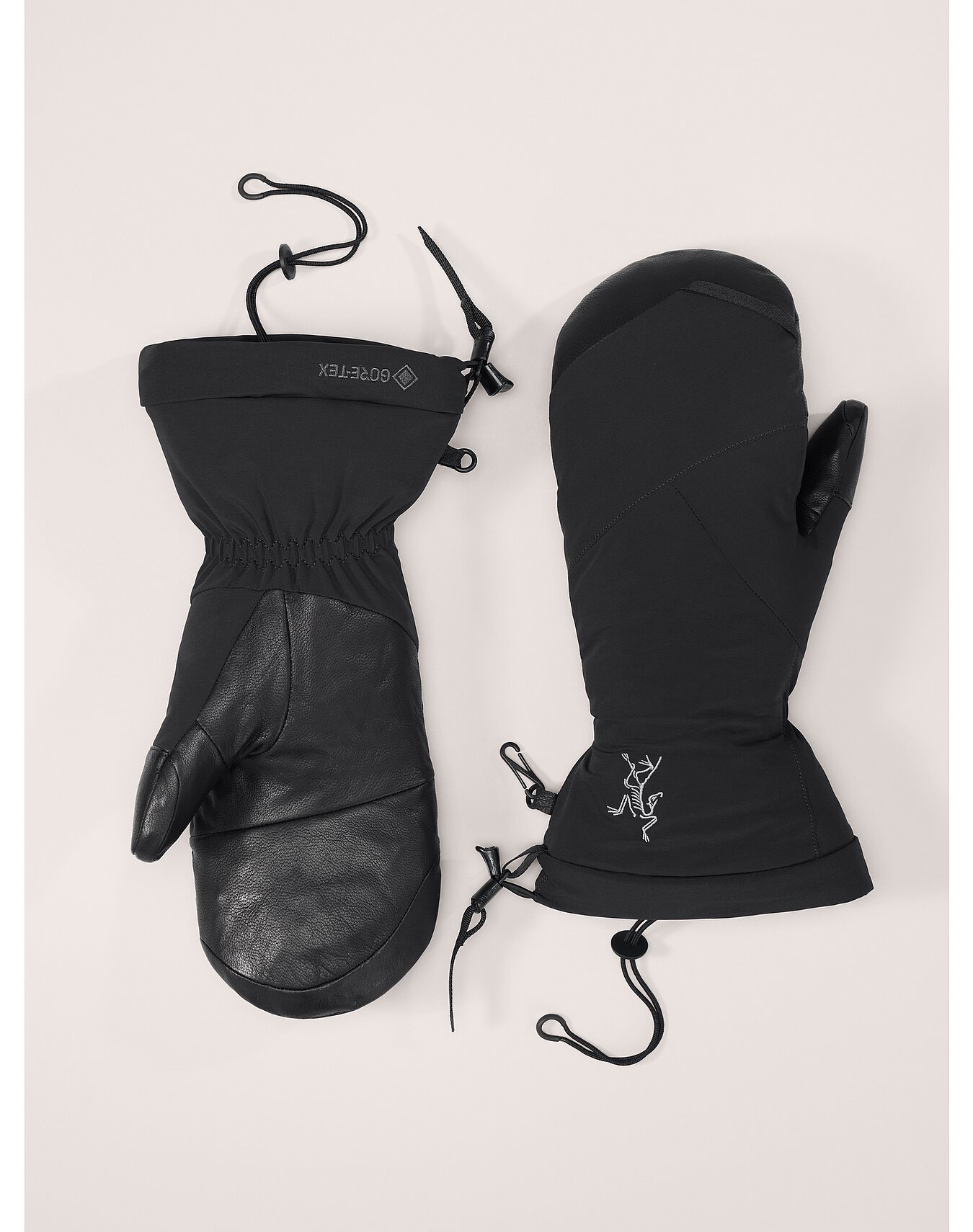 Arcteryx Fission SV Mitten Black