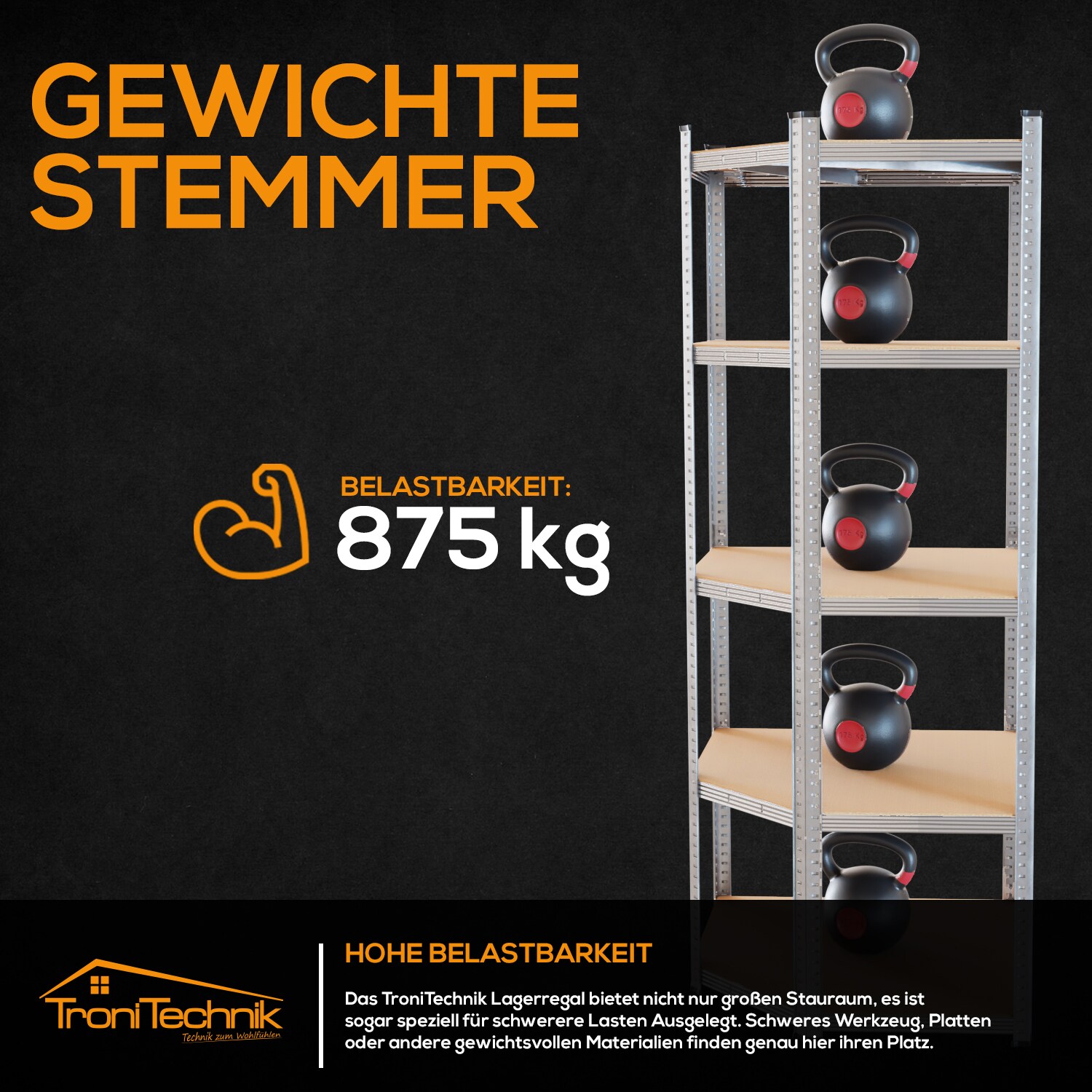 TroniTechnik® Schwerlastregal, Kellerregal, Lagerregal, 40 x 40 x 70 x 70 x 180 cm, Stahlgestell, bis 875 kg , 5 Ablagen