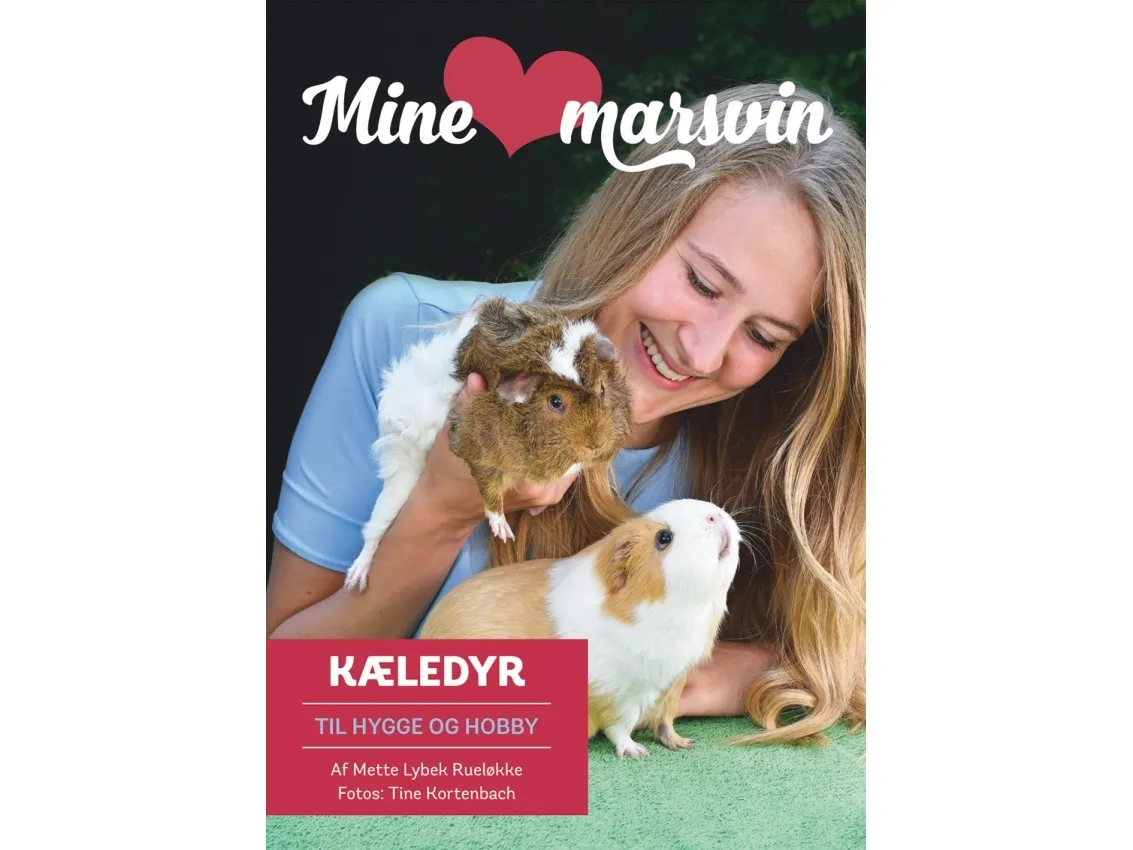 Mine marsvin | Mette Lybek Rueløkke