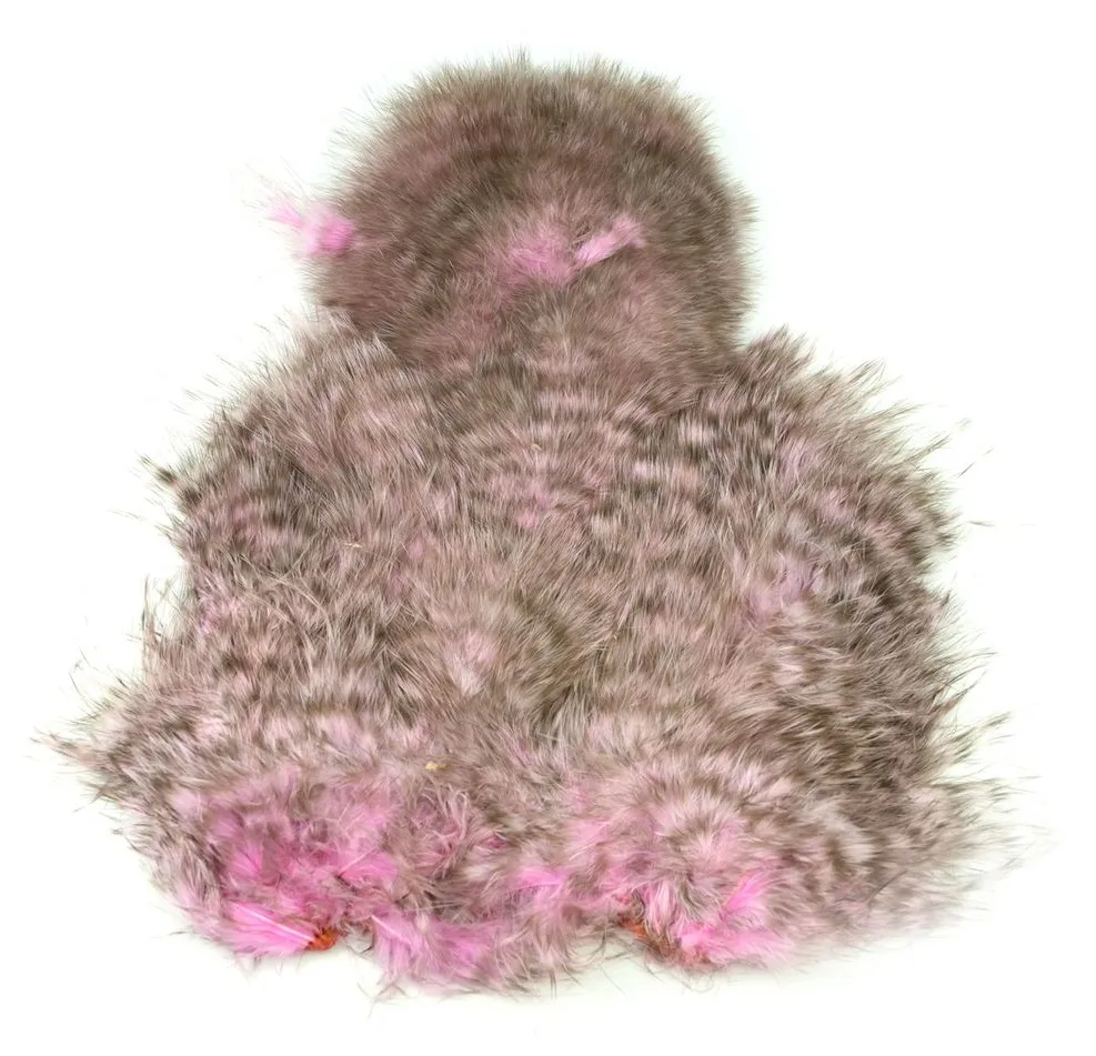 Whiting Spey Softhackle Chickabou Grizzly Dyed Shell Pink