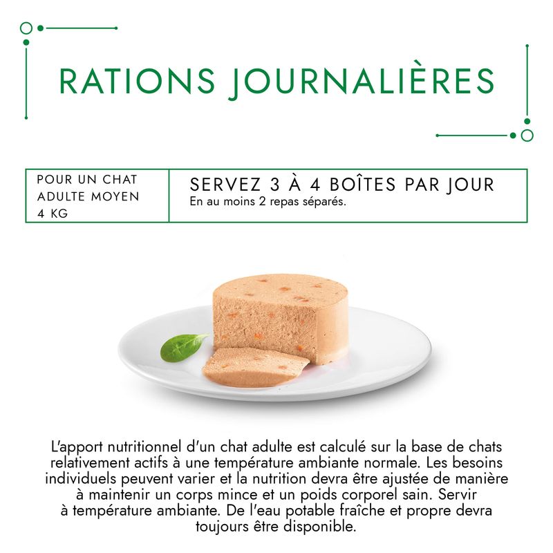 Lot 2 saveurs Gourmet Nature's Creation Mousse
