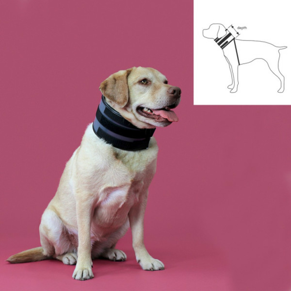 Collier cervical pour chiens noir (6-28 cm)