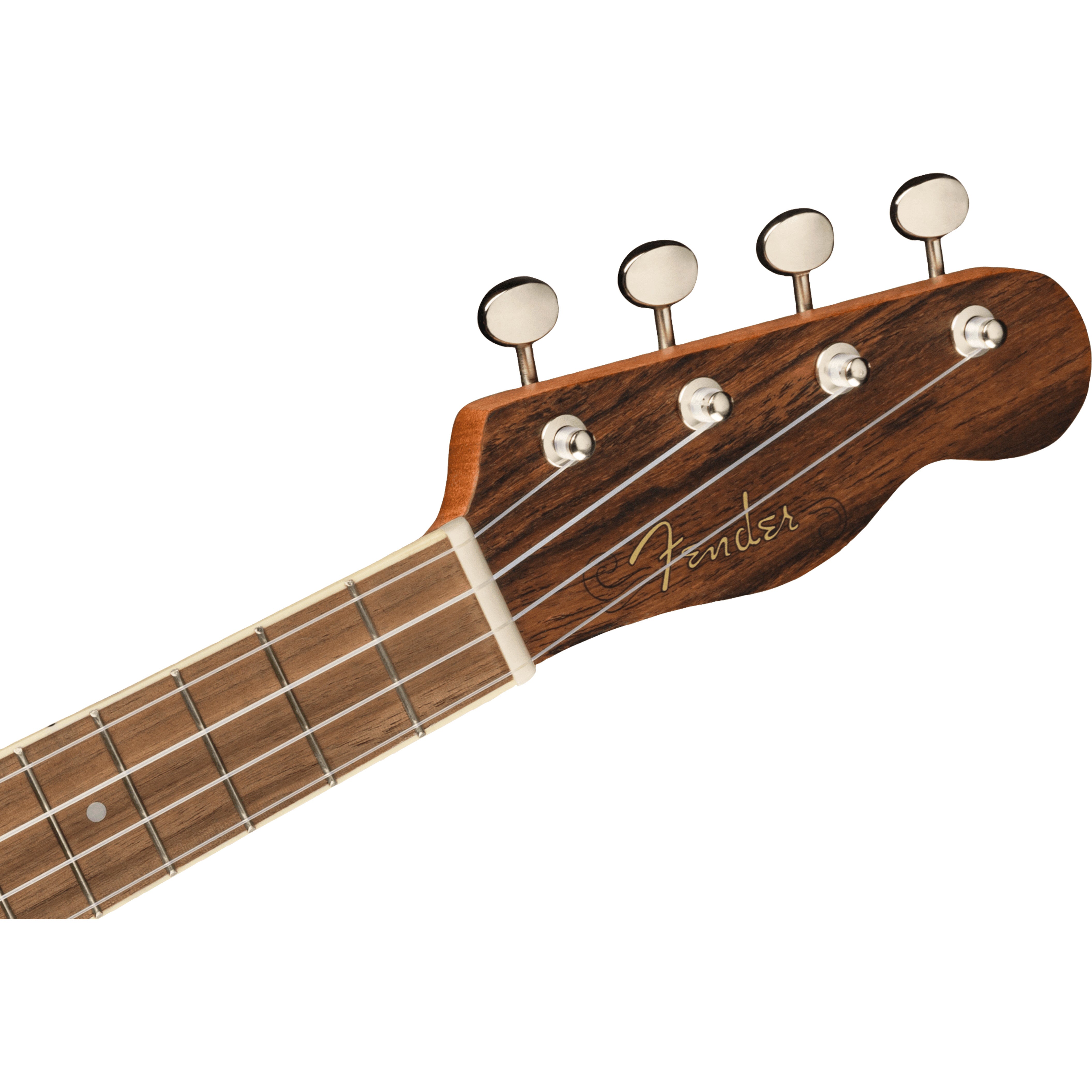Fender California Coast Zuma Exotic concert ukelele bocote
