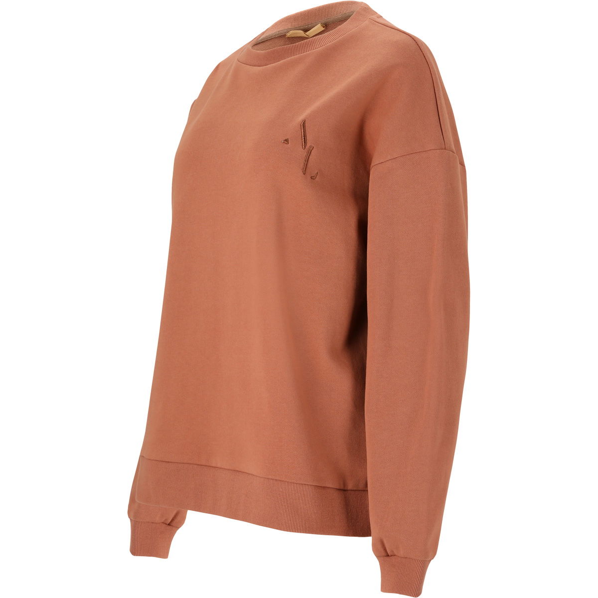 Athlecia Lia Oversized Sweatshirt Dame