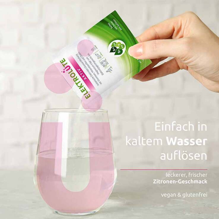 Dr. Theiss Elektrolüte Aktiv Pulver Sachets, 15 St
