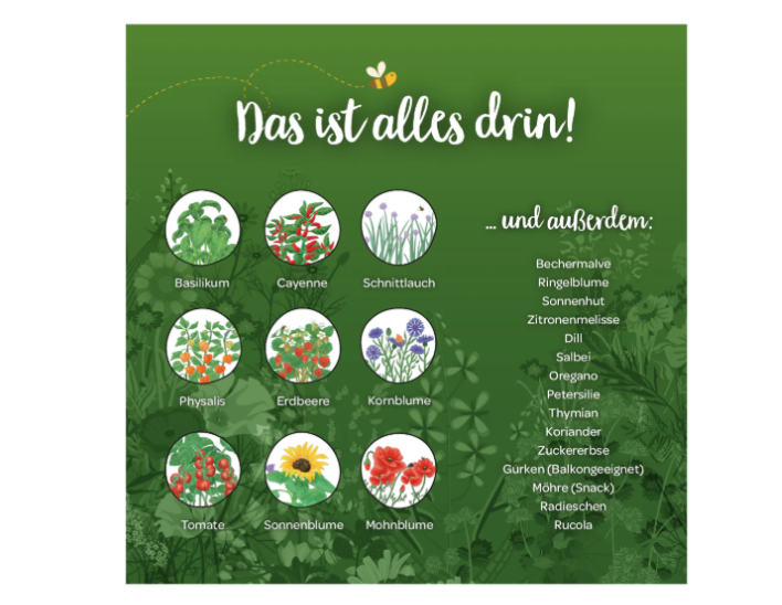(32x18cm) Saatgut Adventskalender Türchen Samen Pflanzen Anzucht Tütchen (1004103)