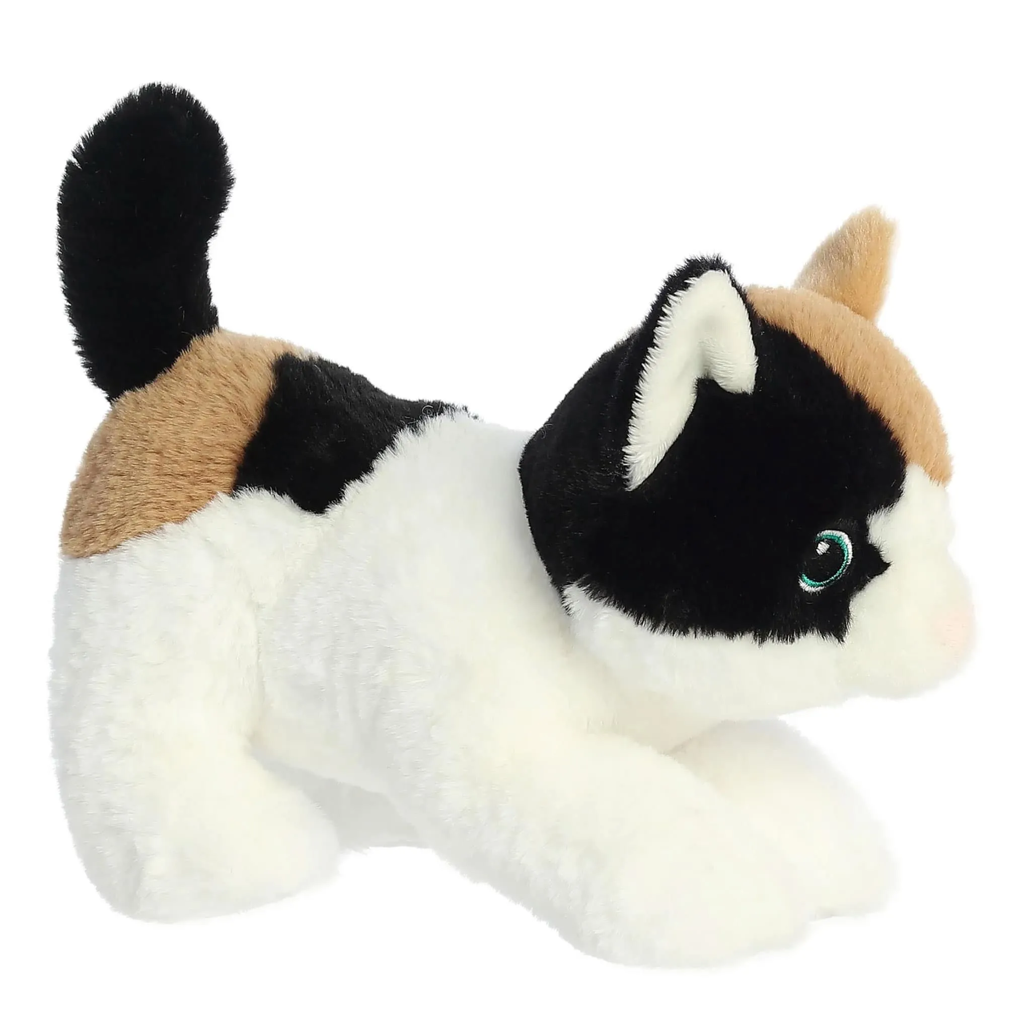 Aurora Chat Calico 8.5