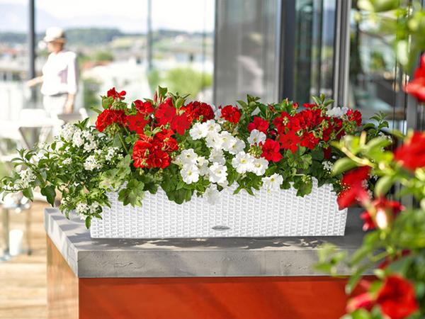 LECHUZA® Kunststoff-Kasten Balconera Cottage,