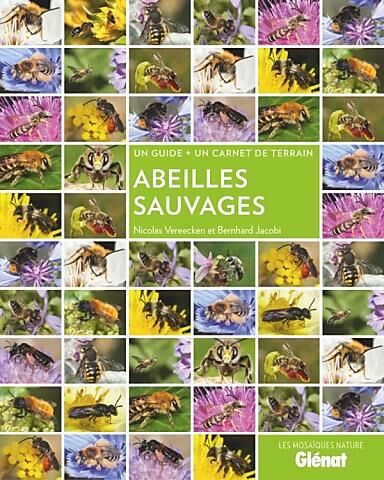 GLENAT - ABEILLES SAUVAGES