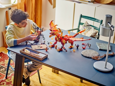 LEGO Brondraak van Beweging (71822)