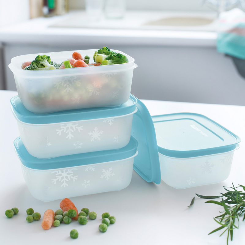 Eis-Kristall 450ml (4) Der Gefrierbehälter für eine Portion Suppe