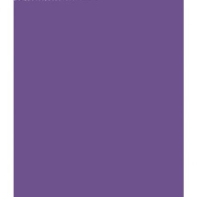 Clairefontaine - Papier cadeau kraft - 70 cm x 3 m - 65 g/m² - violet